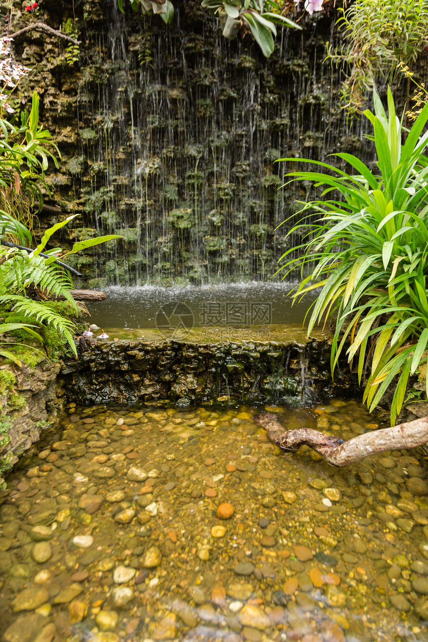 花园中的瀑布水生植物岩石植物公园园艺池塘石头住宅绿色图片