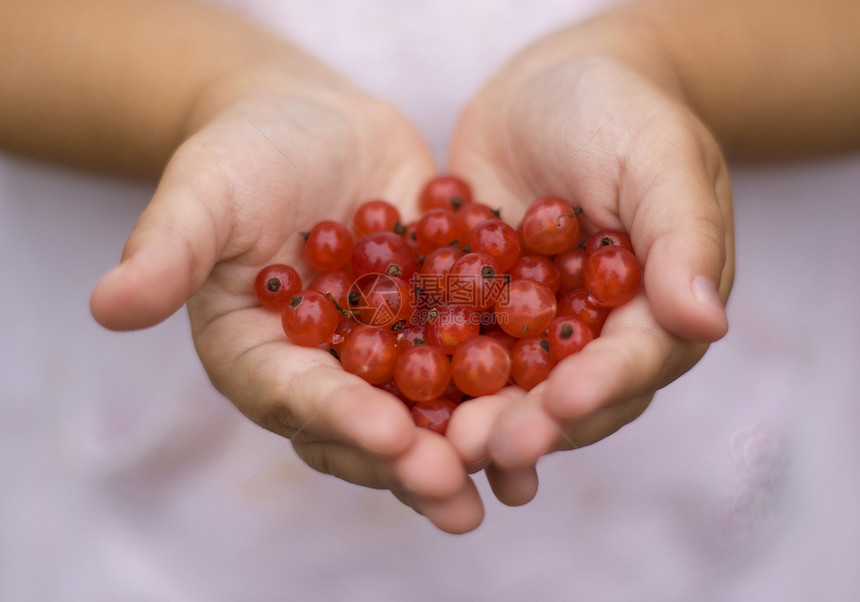 丰盛的浆果庄稼农产品圆圈农场颜色季节健康饮食红色采摘饮食图片