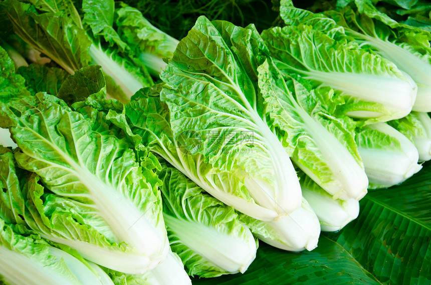 新鲜生菜叶子植物条款烹饪低脂肪生产白色沙拉食物营养图片