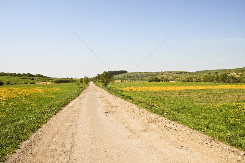 外地公路乡村天空自由草地国家绿色树木小路车道黄色图片