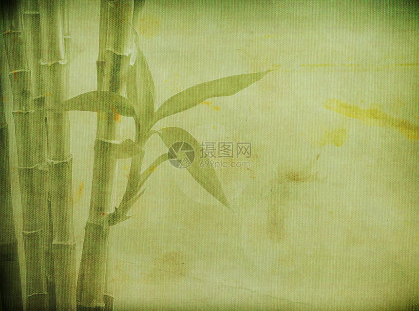 竹竹背景古董绿色插图热带墙纸叶子假期支撑图片