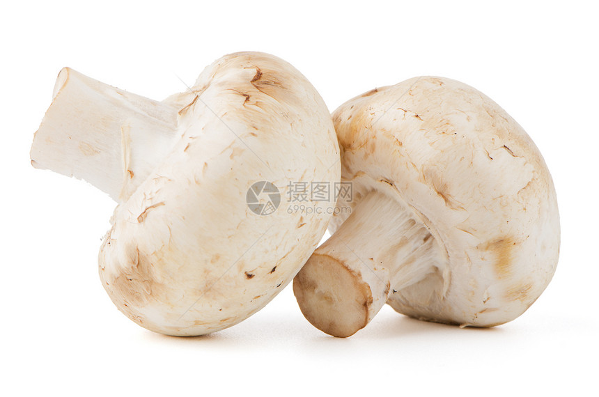 香农蘑菇保健小吃香菜宏观蔬菜节食卫生叶子美食图片