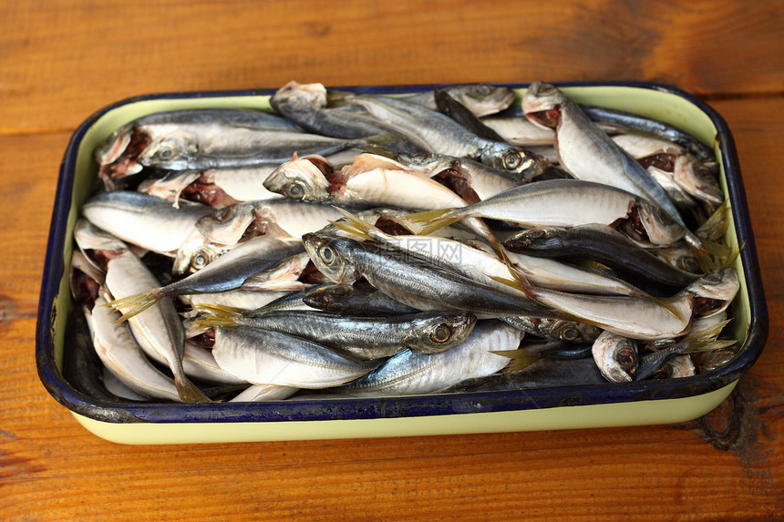 直肠蓝鱼营养海鲜桌子饮食内脏美食海洋食物市场眼睛图片