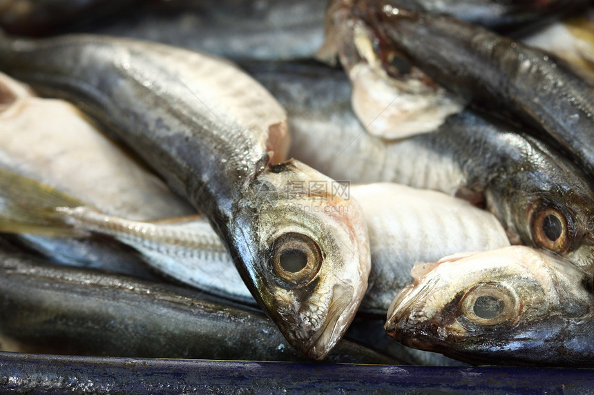 直肠蓝鱼木头食物美食海鲜饮食桌子营养海洋内脏眼睛图片