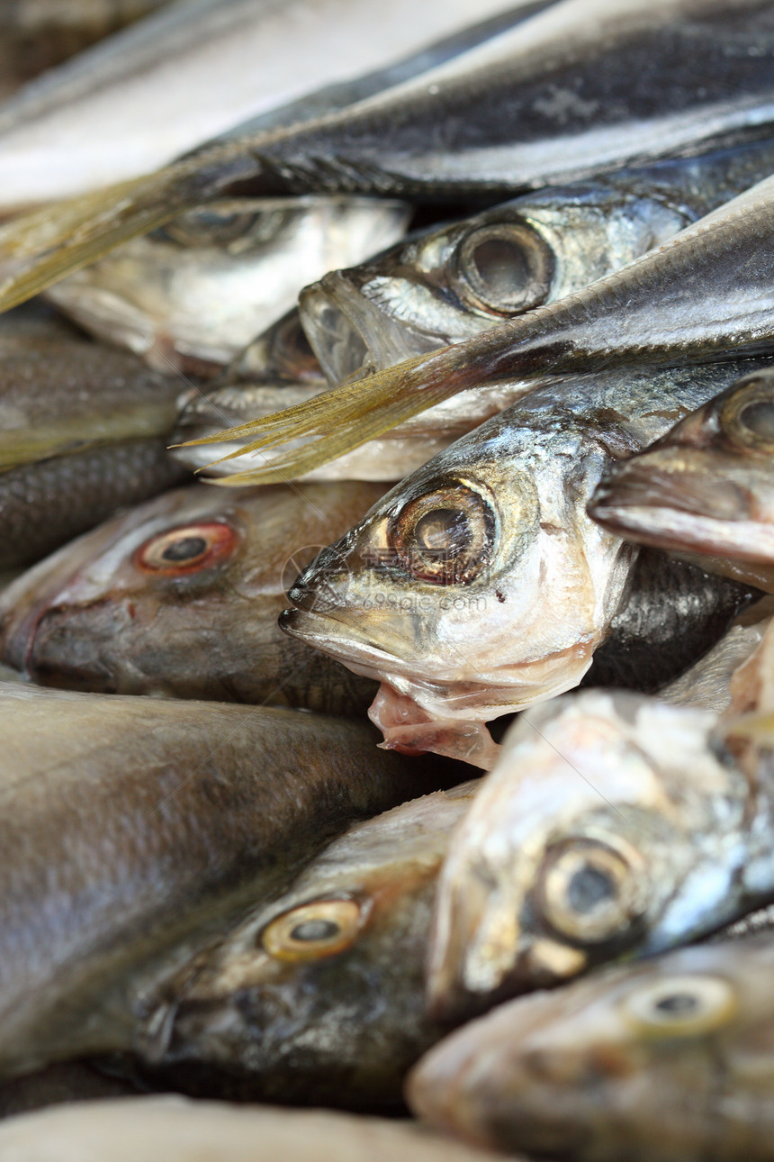 直肠蓝鱼饮食水平木头食物桌子眼睛市场内脏营养皮肤图片