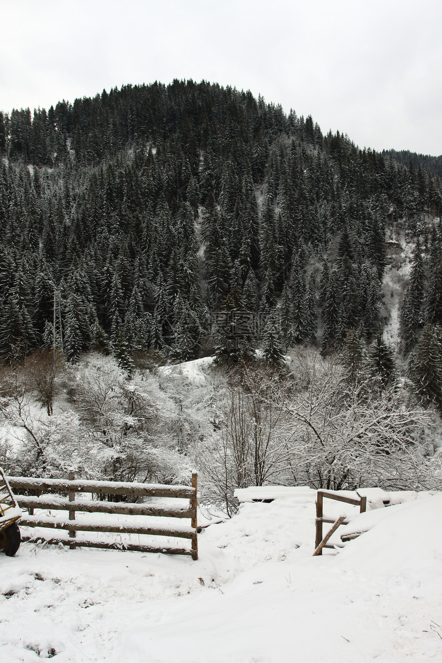 冬季风景森林国家童话降雪木头天气白色季节图片
