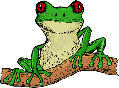 青蛙手绘青蛙树 矢量图设计图片
