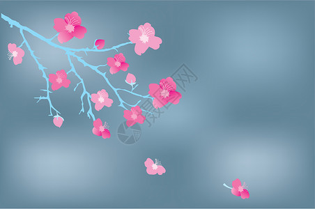 樱花图樱花花插图天空粉色植物花瓣叶子季节花园植物学白色插画