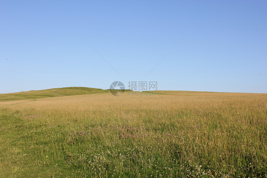 字段农场草地土地树篱草原场景农田丘陵晴天农村图片