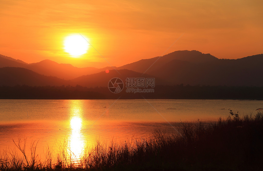 湖边的日落芦苇太阳植物游泳天空公园鸭子反射城市季节图片