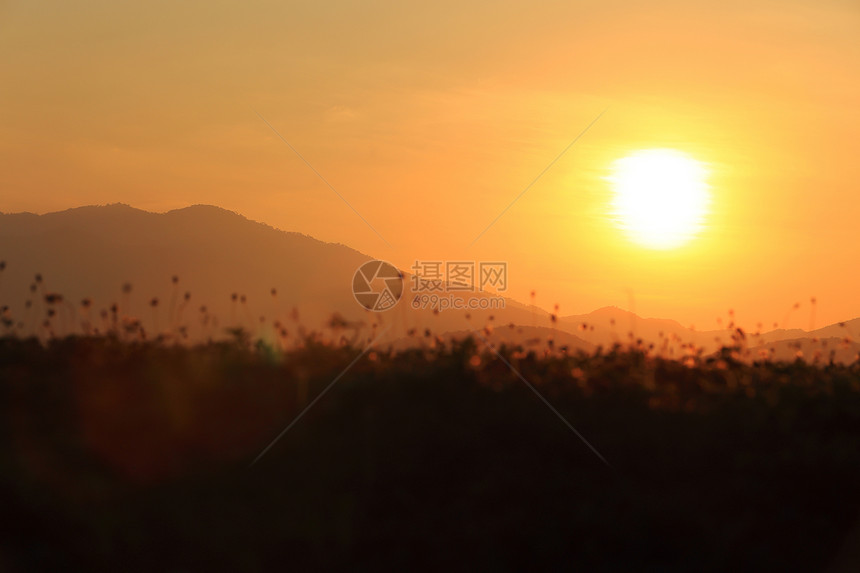 湖边的日落鸭子季节游泳蓝色场景反射天空植物芦苇城市图片