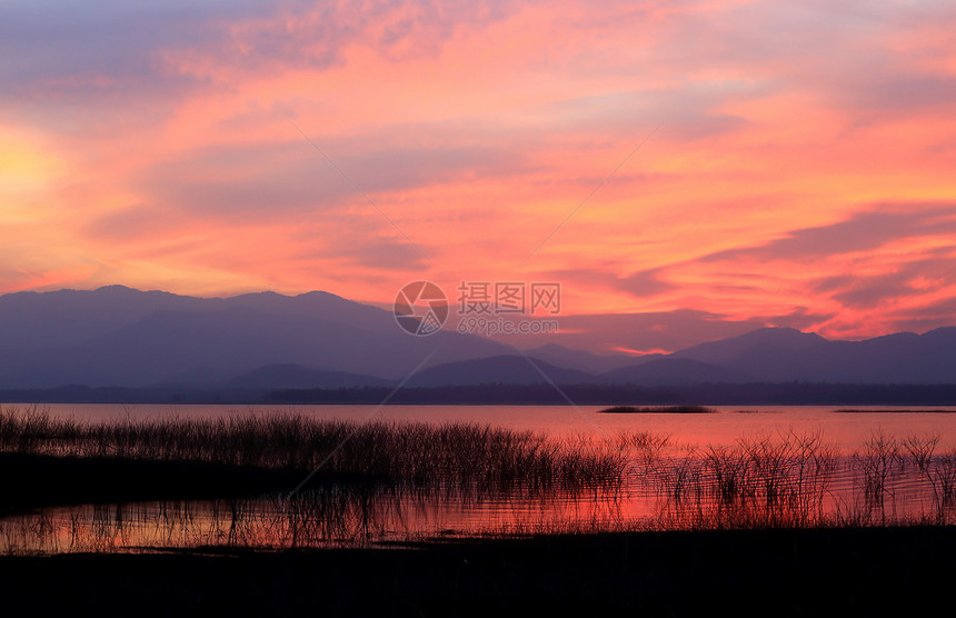 湖边的日落环影树场地池塘天空日出环境日落松树场景蓝色太阳图片