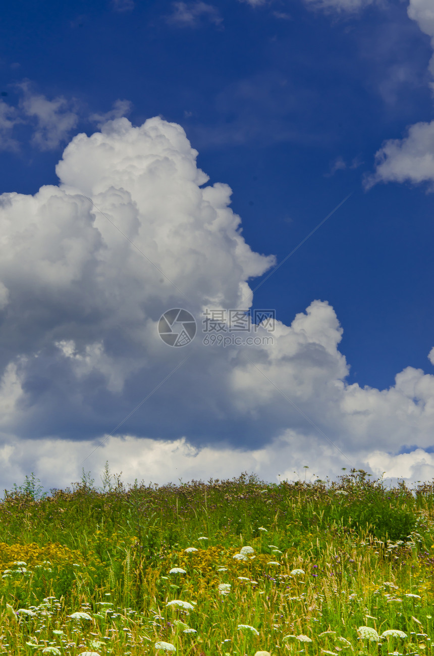 夏季草原场地蓝色花朵全景天空国家植物太阳阳光农村图片