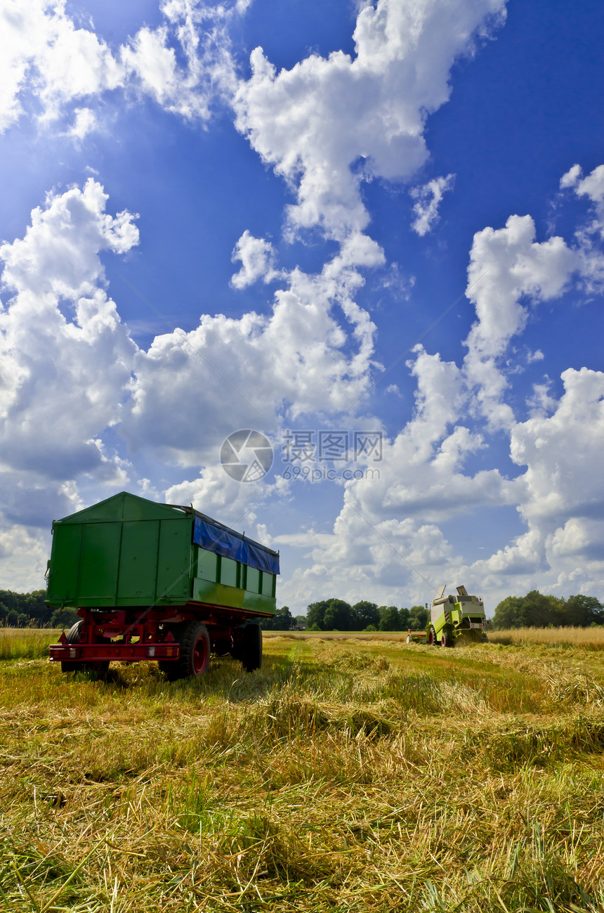 组合收割器天空金子拖拉机收成玉米农村太阳植物叶子国家图片