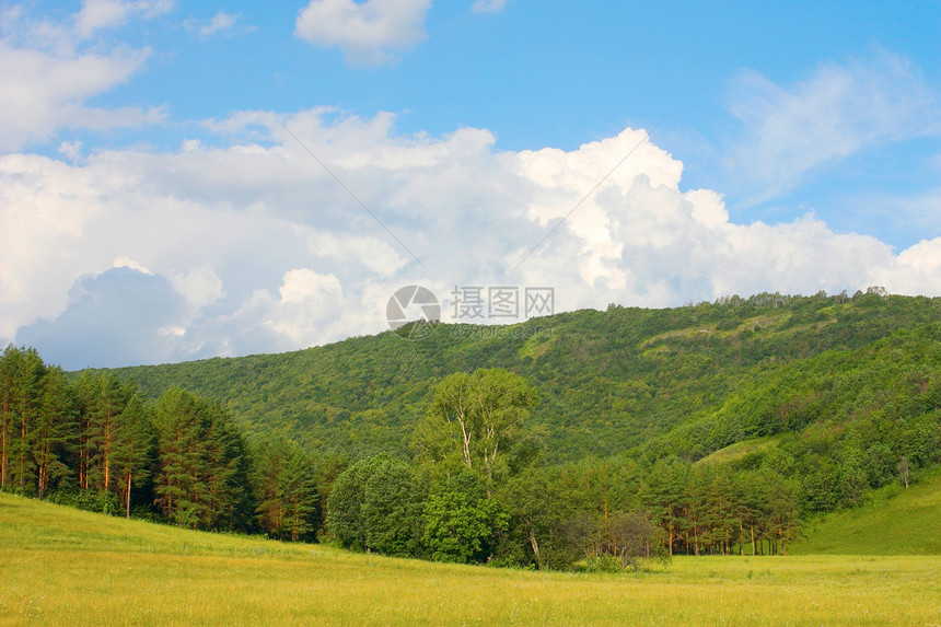 美丽的夏季风景天空场景季节阳光土地城市场地荒野叶子牧场图片