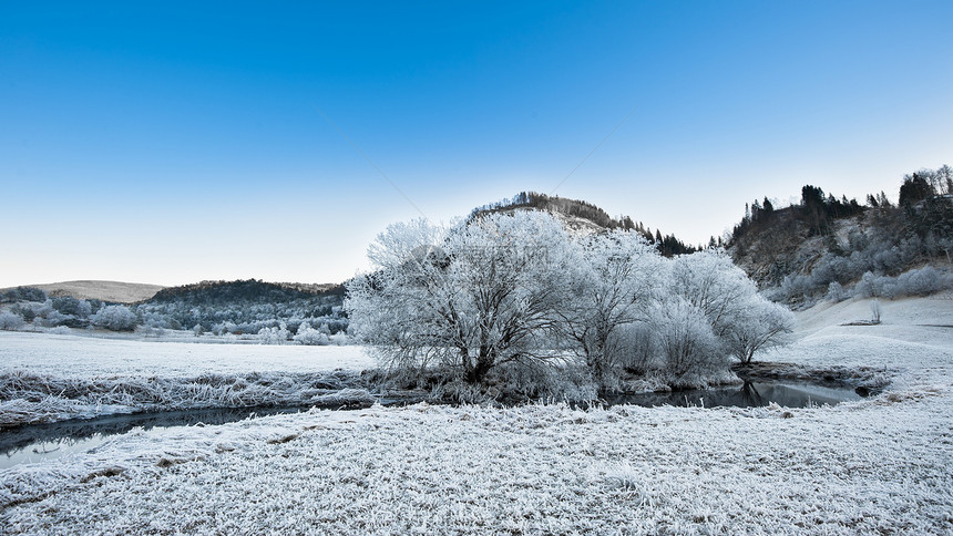 挪威冬季挪威树木爬坡草地风景蓝色冻结季节白色天空天气图片