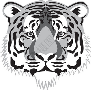 老虎头马戏团灰色眼睛黑色动物男性生物条纹艺术丛林背景图片