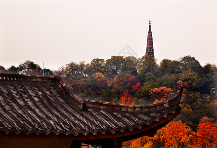 西杭州 浙江池湖西边的高铁屋顶高清图片