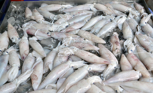 市场上的新鱿鱼市场触手钓鱼海鲜厨房章鱼动物海洋墨水头足类食物背景图片