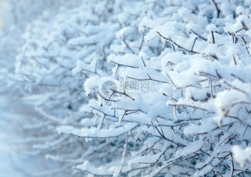 冬季风景雪花白色天空树木旅行仙境雪堆场景蓝色季节图片