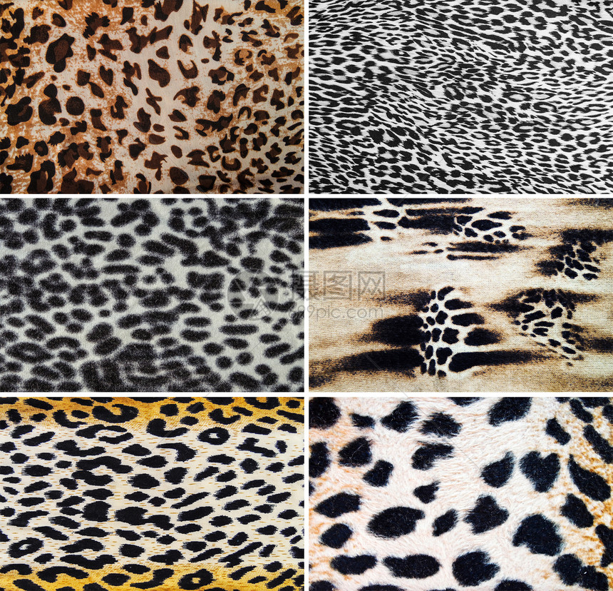 豹式纹理皮肤猎豹爬虫线条插图捕食者爪子织物蛇皮条纹图片