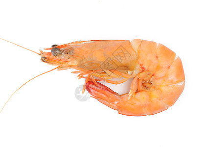 虾食物对象生食白色动物海鲜贝类甲壳饮食背景图片