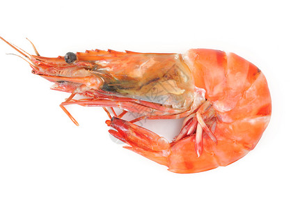 虾对象海鲜动物甲壳饮食贝类食物白色背景图片