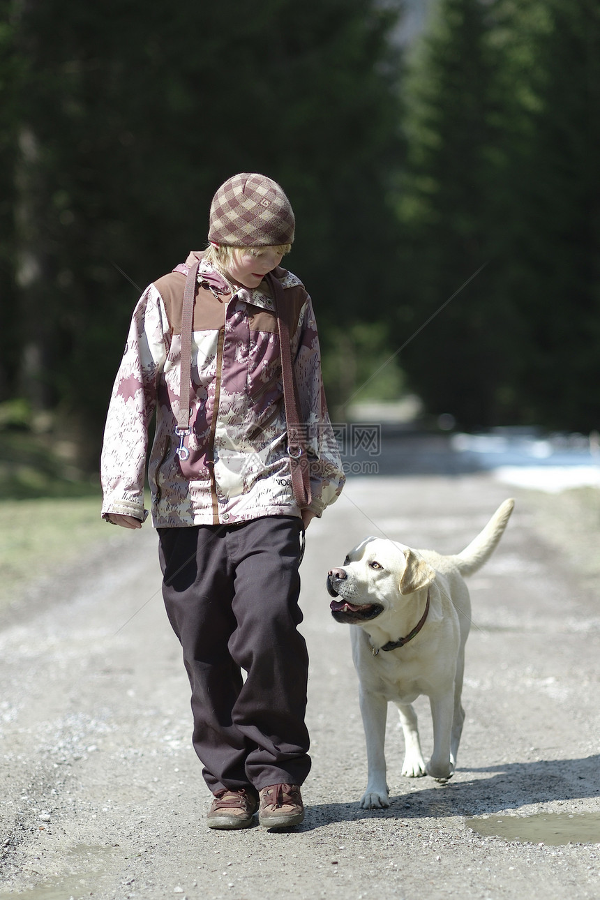 带狗的小男孩运动男生孩子闲暇猎犬黄色男性森林远足童年图片