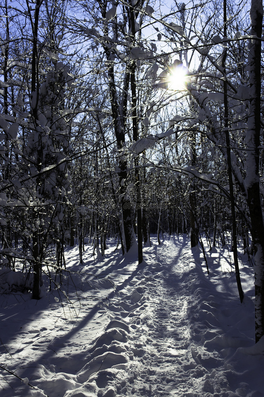 冬季场景雪堆太阳天气国家风景薄片踪迹阳光雪花公园图片