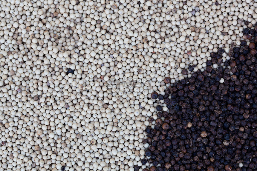 黑胡椒和白胡椒农业白色盘子质量黑色豆类胡椒厨房营养勺子图片