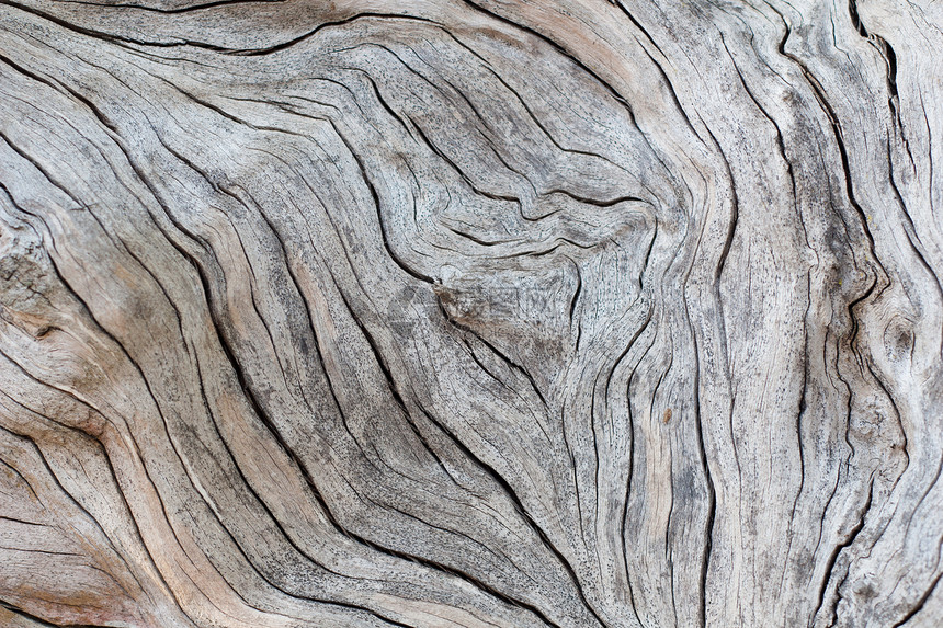 旧木质黄色生活木材艺术森林材料戒指白色工作圆形图片