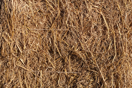 小麦残留物背景高清图片