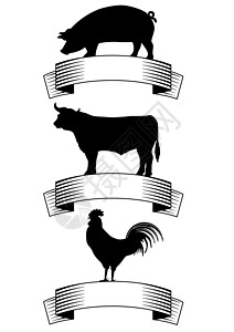 禽肉牛肉 猪肉 家禽插画