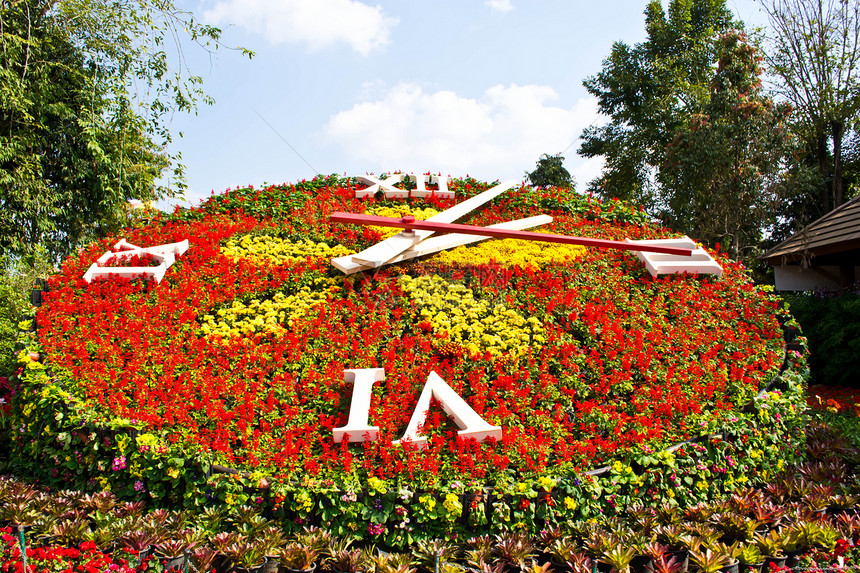 花时钟时间花朵城市地标装饰品花园旅游天空植物公园图片
