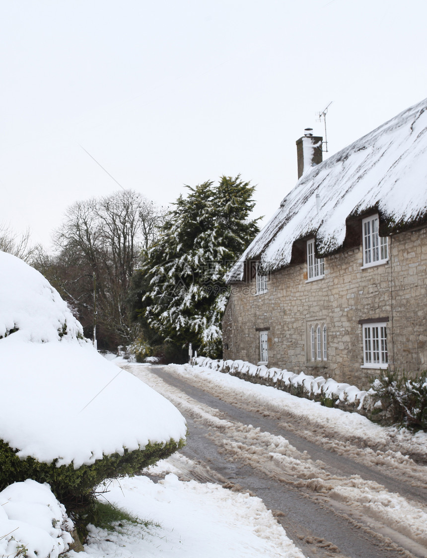 冬季雪雪茅草白色乡村历史建筑学房子小屋英语村庄芦苇图片