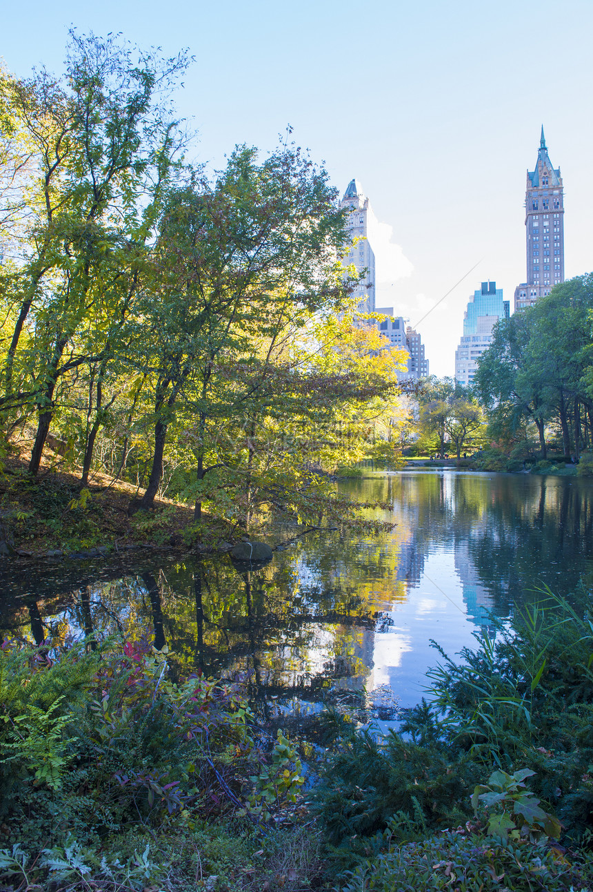 中央公园黄色花园池塘公园闲暇地标绿色石头城市叶子图片