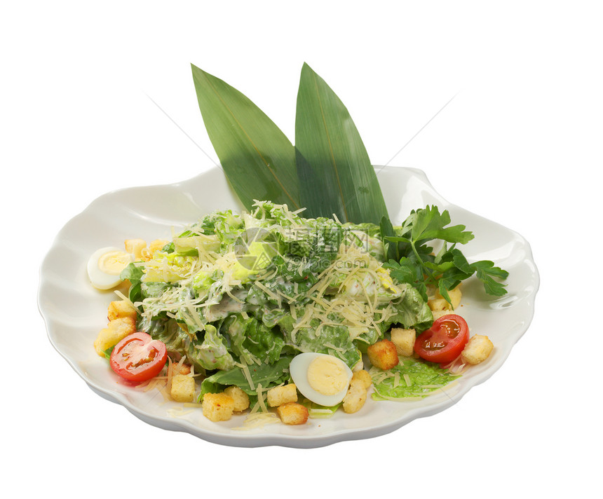 健康蔬菜沙拉香菜宏观绿色美食午餐小吃叶子食物红色草本植物图片