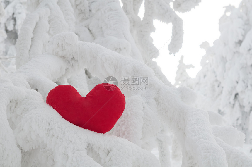 孤独的心寂寞灌木丛树木山脉森林天气休息顶峰热情天空图片