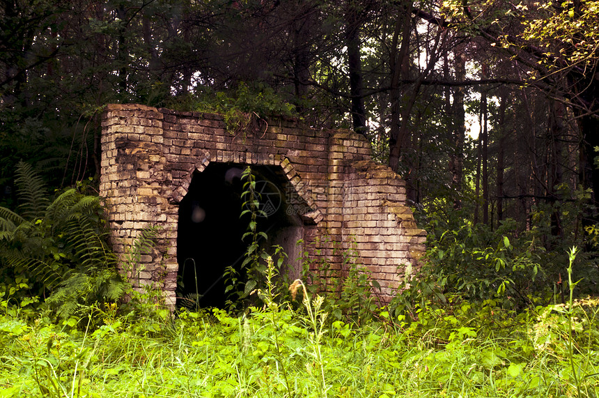 森林中隐藏的旧建筑图片