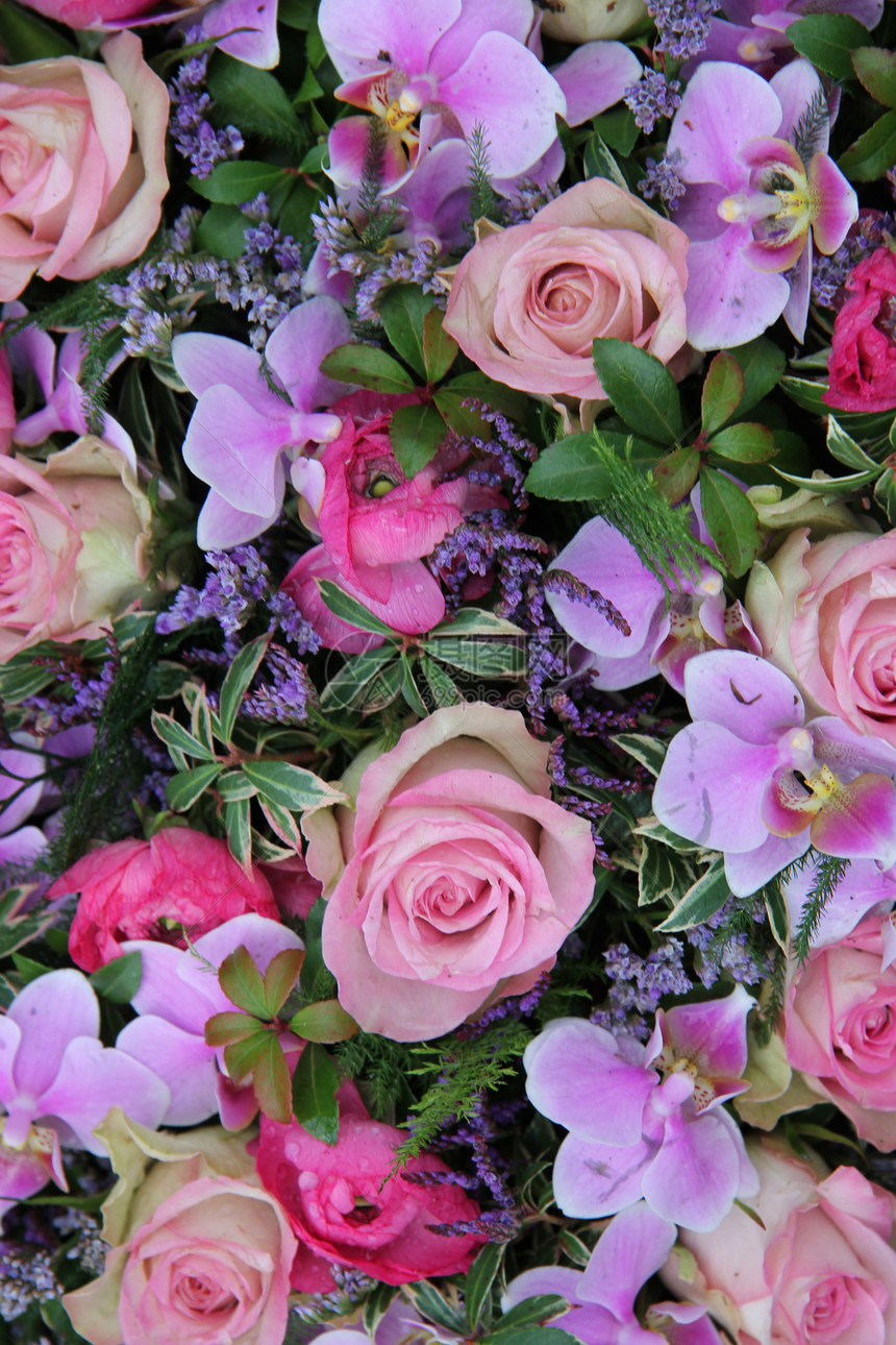 粉色和紫色的花朵安排玫瑰花店植物绿色水滴植物学阵雨兰花花瓣花束图片