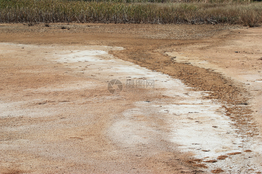 泰河沿岸沙漠景观天堂气候沙丘地平线阳光荒野土地野生动物内盖夫气氛图片