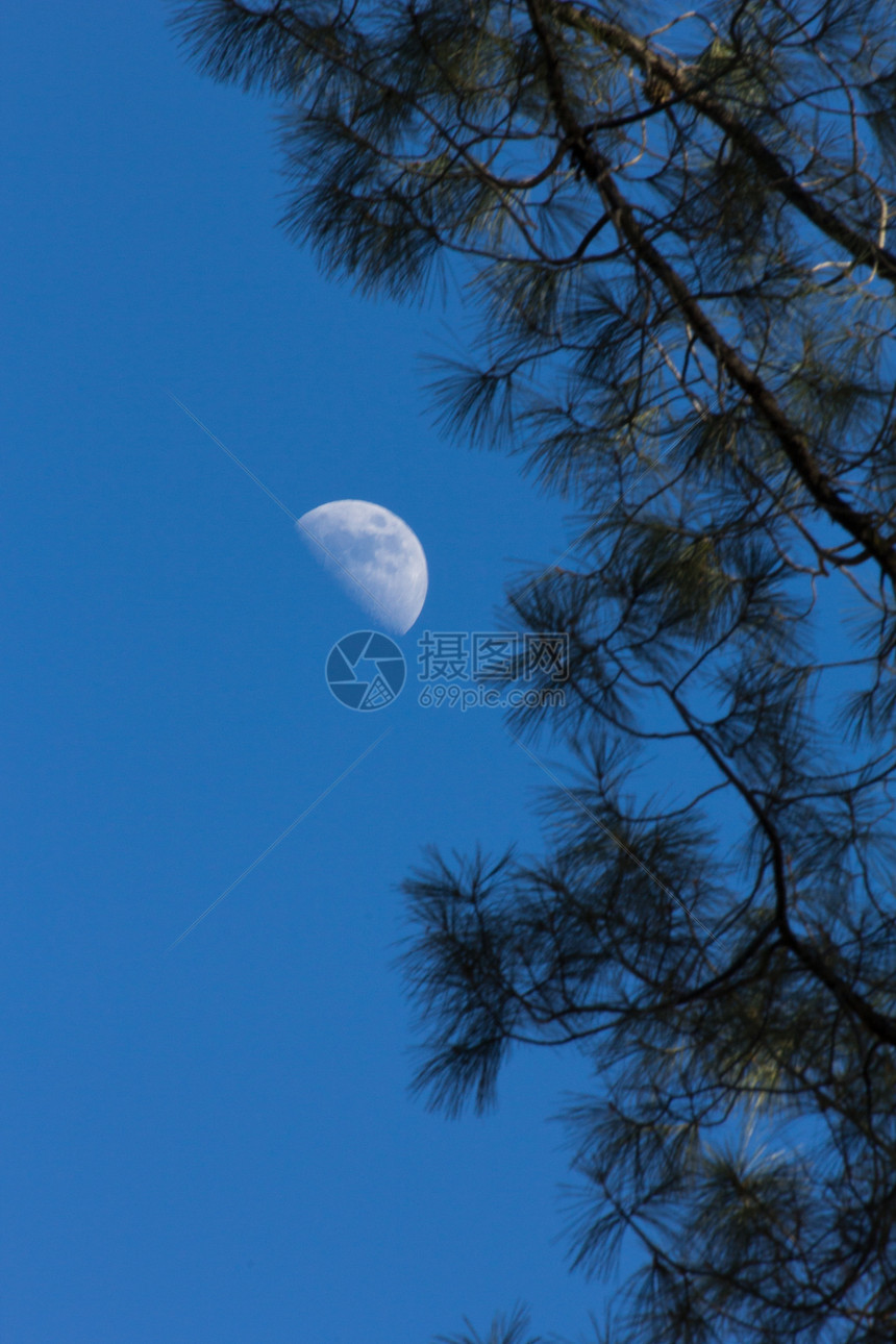 卡利佛省Pinnacles国家纪念碑新月月月月和松松蓝色火山岩色彩戏剧性天空月亮行星图片