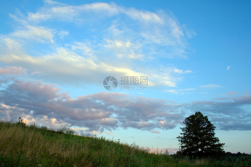 绿绿地农业牧场孤独摄影场景土地植物季节环境天空图片