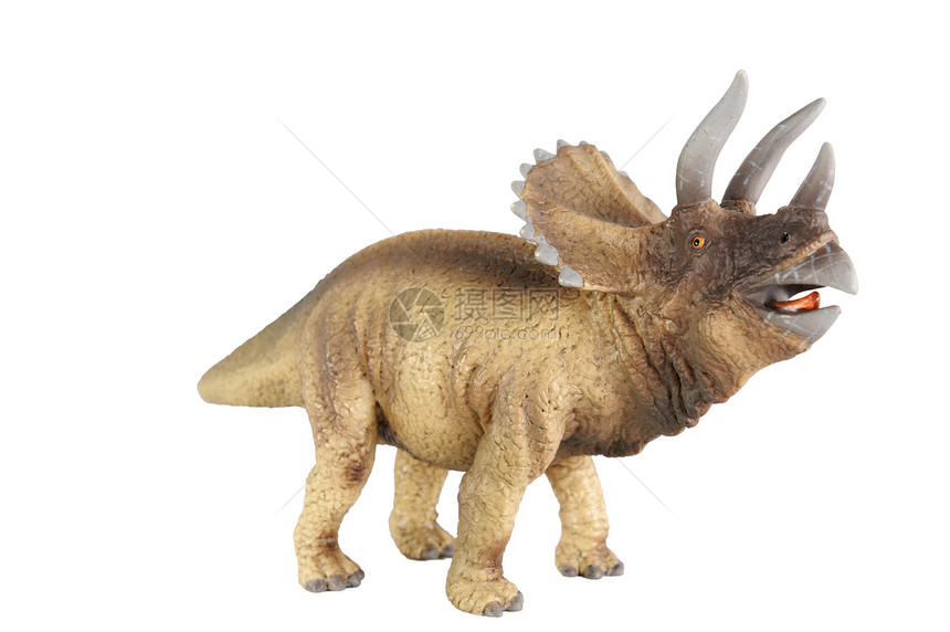 三角体动物侏罗纪白色牛角怪物食草爬虫恐龙古生物学图片