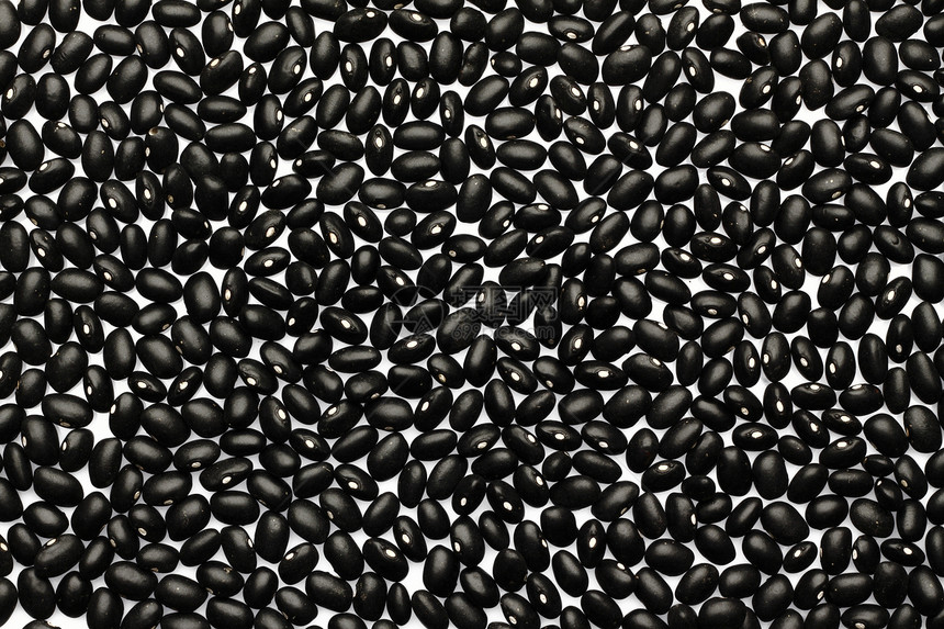 黑豆团体营养豆类早餐活力植物种子饮食预报粮食图片