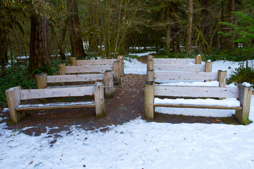 森林降水机水平剧院长椅座位长凳树木公园图片