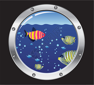 阔口鱼病媒口洞和鱼类橙子闲暇游泳社区环境生活野生动物热带蓝色插图插画