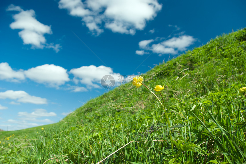 美丽的绿色绿草地假期天空生活土地场景小丘高度荒野阳光海拔图片