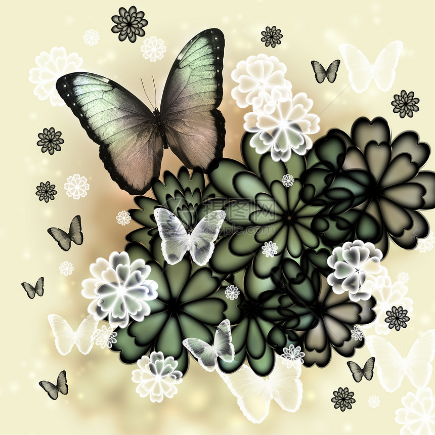 蝴蝶和花朵说明柔软度金子翅膀花瓣菊花插图季节墙纸飞行植物群图片