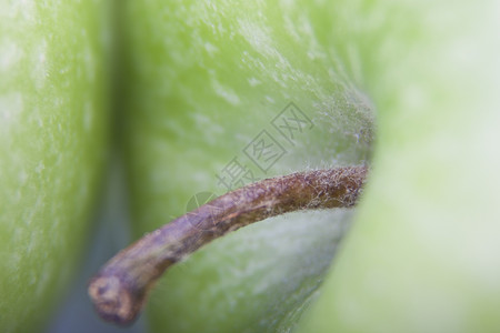 苹果绿色水果食物背景图片